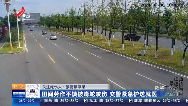 【关注蛇伤人】景德镇浮梁：田间劳作不慎被毒蛇咬伤 交警紧急护送就医