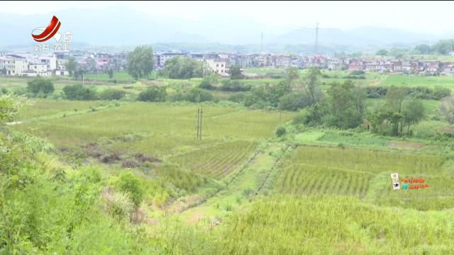 新闻晚高峰20240830