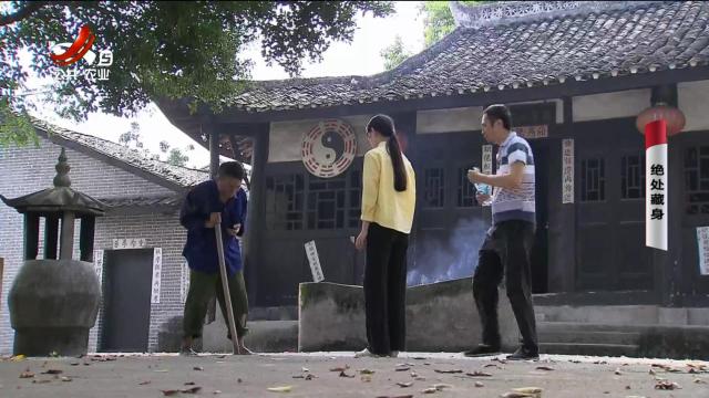 乡村栏目剧场20240819 绝处藏身