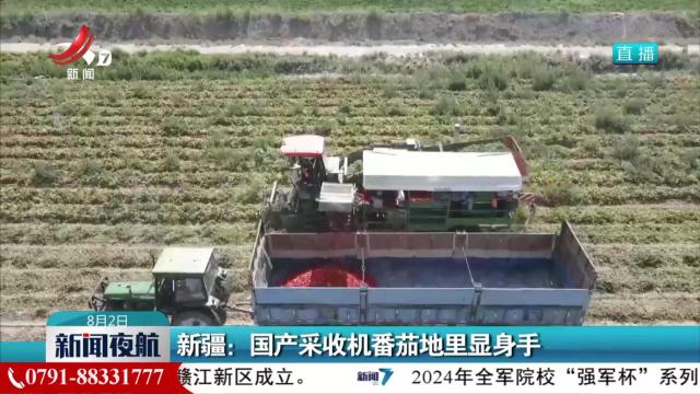 新疆：国产采收机番茄地里显身手