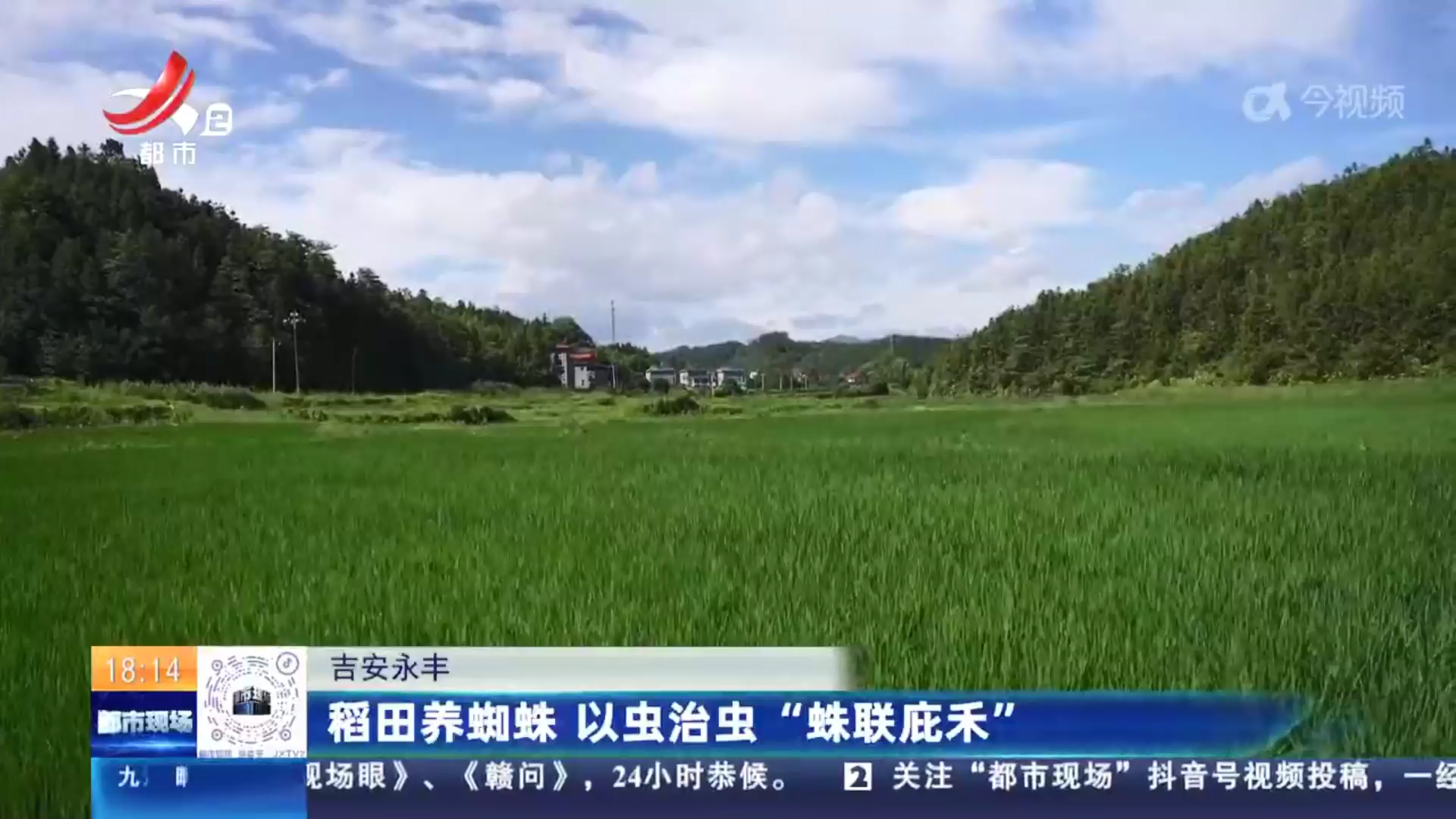 都市现场20240805