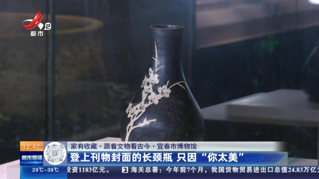 【家有收藏·跟着文物看古今】宜春市博物馆：登上刊物封面的长颈瓶 只因“你太美”