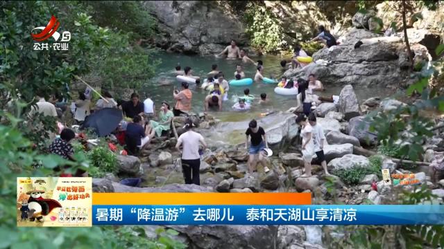 暑期“降温游”去哪儿 泰和天湖山享清凉
