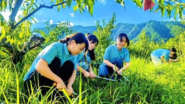 吉安永新：大学生开展暑期“三下乡”社会实践活动