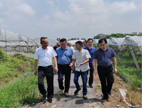 江西省残联领导赴高安市调研残疾人就业工作