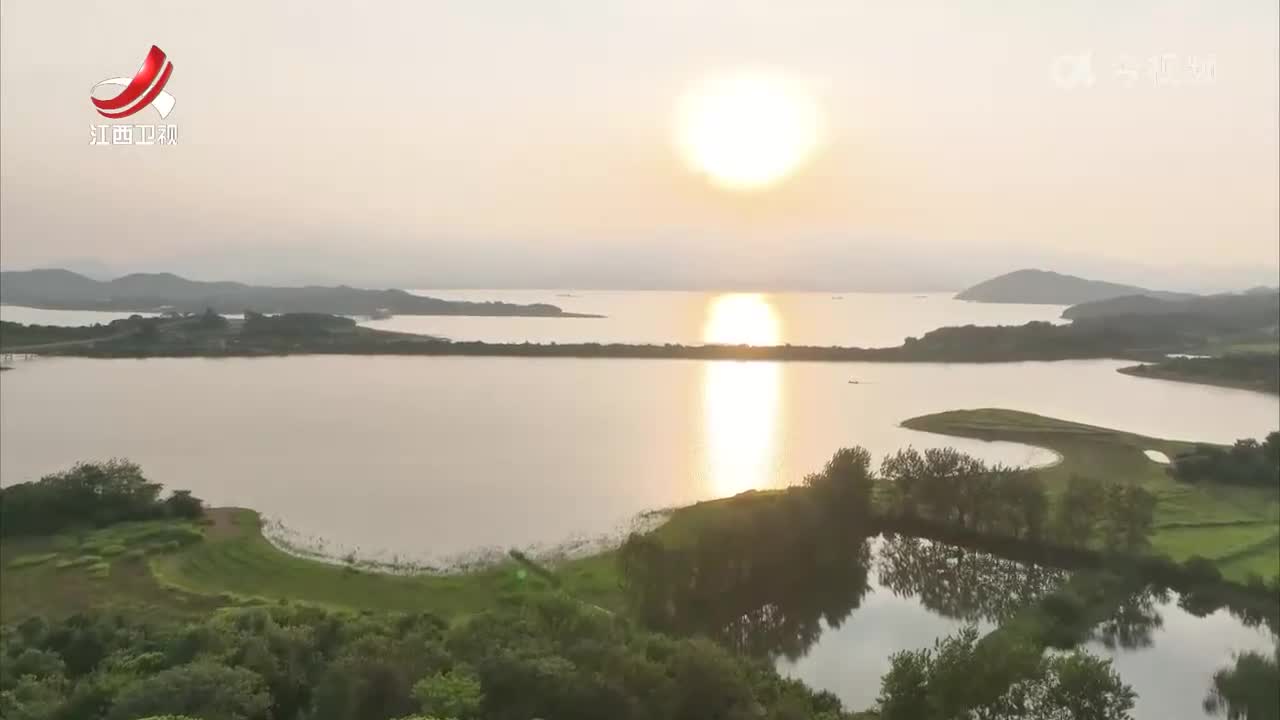 鄱阳湖区夏候鸟开始南迁