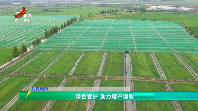 三农头条20240824