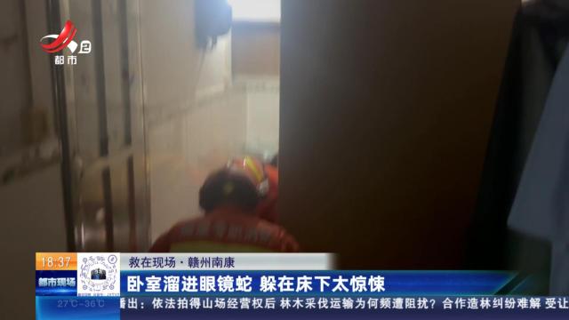 【救在现场】赣州南康：卧室溜进眼镜蛇 躲在床下太惊悚