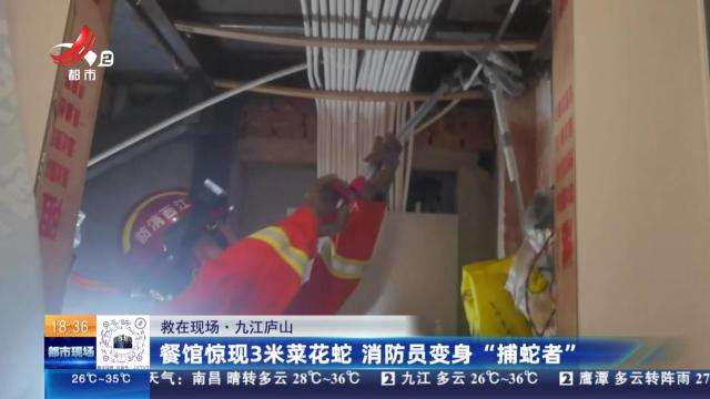 【救在现场】九江庐山：餐馆惊现3米菜花蛇 消防员变身“捕蛇者”