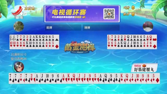 谁是赢家20240810