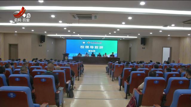 三农头条20240809