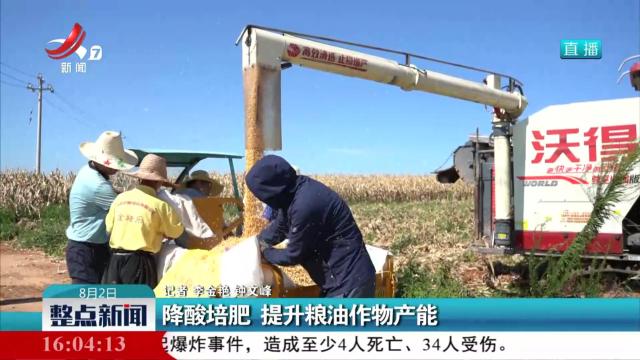 降酸培肥 提升粮油作物产能