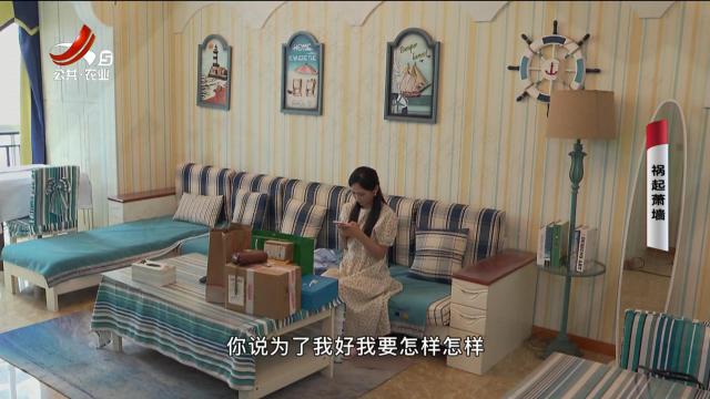 乡村栏目剧场20240814 祸起萧墙
