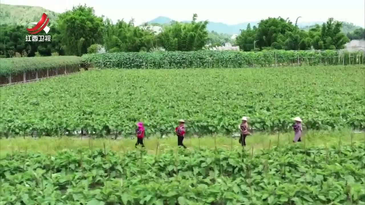 江西防止返贫监测帮扶系统实现全覆盖