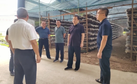 上饶市政协党组书记、主席俞健到铅山县调研少数民族乡发展情况并开展接待选民活动