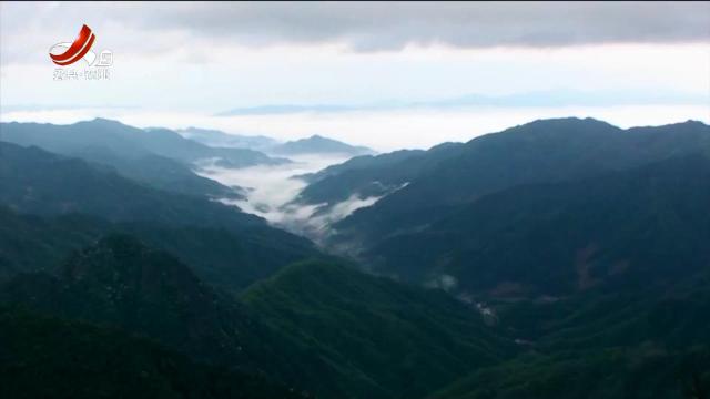 美丽江西在行动20240811 江西井冈山国家级自然保护区：“红”与“绿”交织的生态传奇