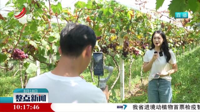 瓜果飘香季 尽享丰收喜悦