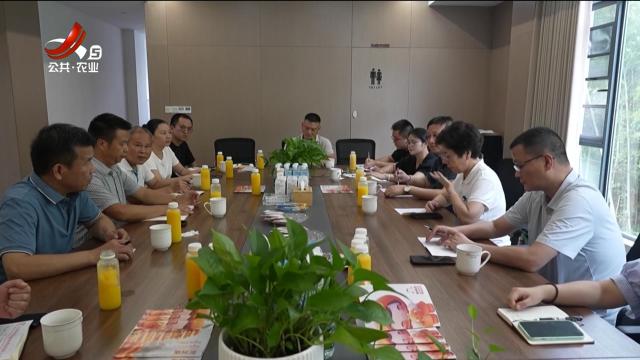 三农头条20240819