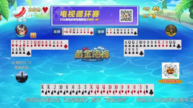 谁是赢家20240817