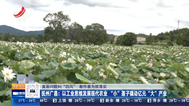 【直面问题纠“四风” 敢作善为抓落实】抚州广昌：以工业思维发展现代农业 “小”莲子撬动亿元“大”产业