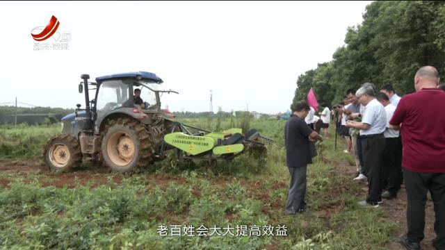 三农头条20240823