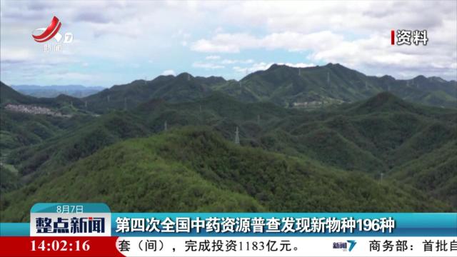 整点新闻20240807 14：00