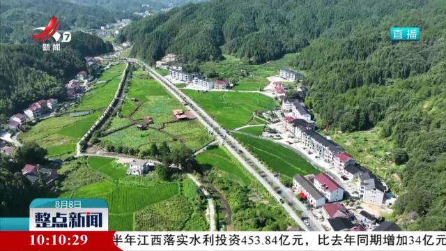 整点新闻20240808 10:00