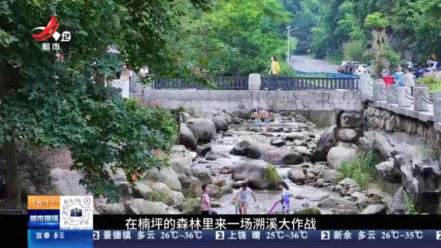 【与江西的100次乡遇】湾里·楠坪古村