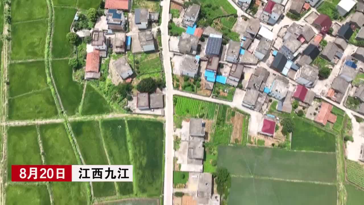 江西九江：游欣 当好乡村振兴的“领路人”