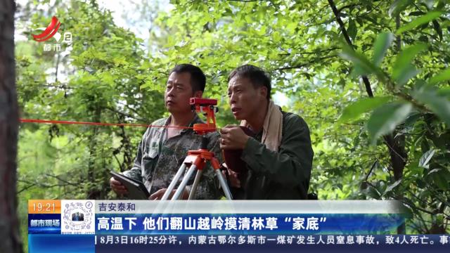 吉安泰和：高温下 他们翻山越岭摸清林草“家底”