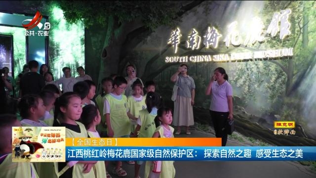 【全国生态日】江西桃红岭梅花鹿国家级自然保护区：探索自然之趣 感受生态之美
