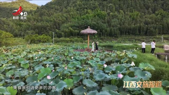 赣州上犹：赏夏末荷花 品“限定版”荷花宴