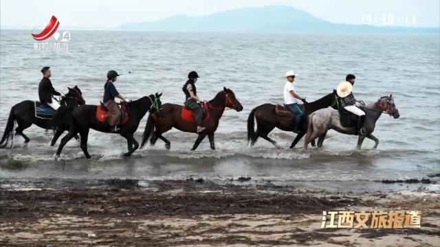 九江濂溪区：骑马度假新风尚 乡村旅游添活力