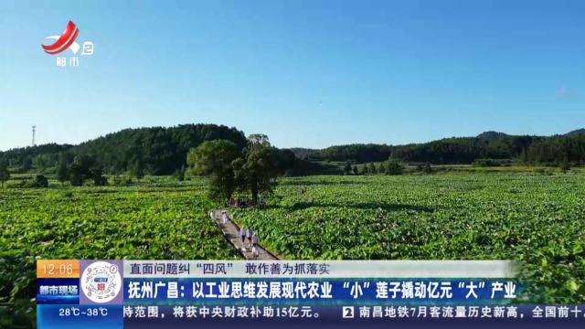 【直面问题纠“四风” 敢作善为抓落实】抚州广昌：以工业思维发展现代农业 “小”莲子撬动亿元“大”产业