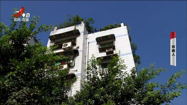 乡村栏目剧场20240825 双面人