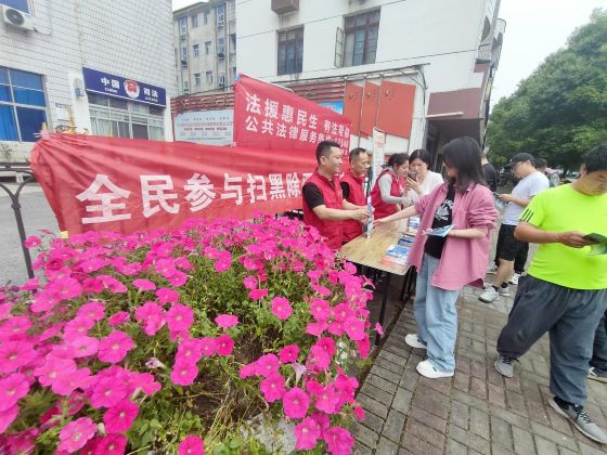 以法护航 共筑平安——靖安县双溪镇开展反有组织犯罪法宣传活动