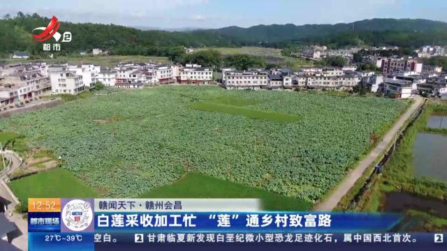 都市现场·午间版20240808