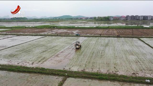 三农头条20240825