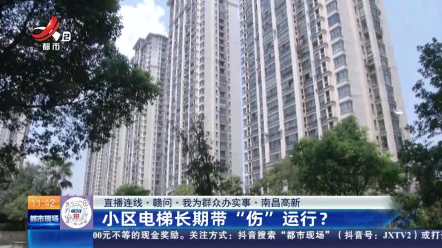 都市现场·午间版20240809
