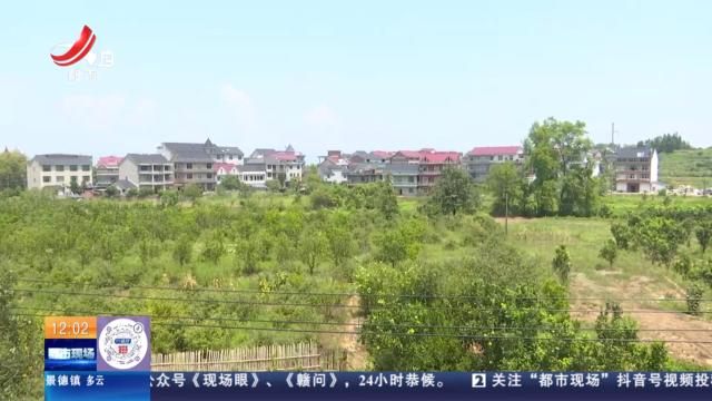 都市现场·午间版20240824