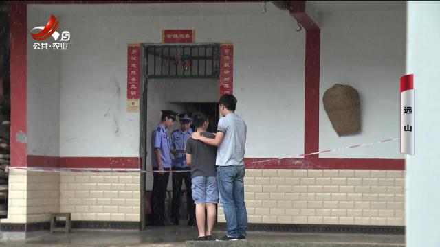 乡村栏目剧场20240804 远山