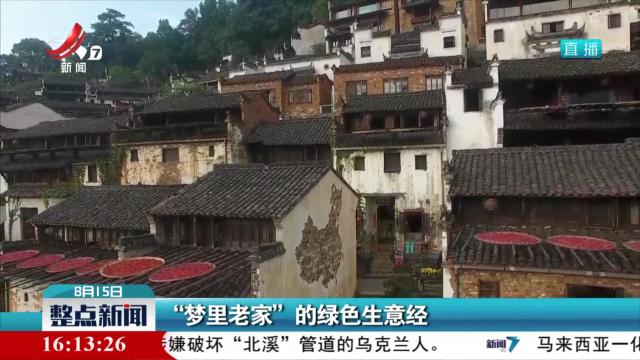 “梦里老家”的绿色生意经