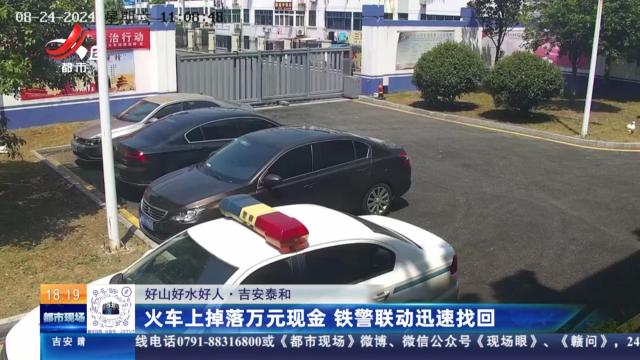 【好山好水好人】吉安泰和：火车上掉落万元现金 铁警联动迅速找回