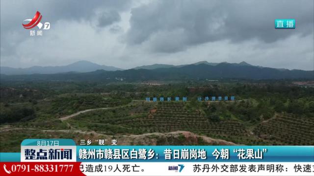 【三乡“靓”变】赣州市赣县区白鹭乡：昔日崩岗地 今朝“花果山”