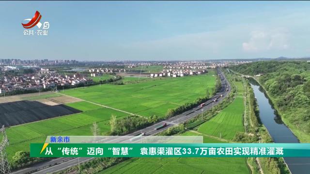 三农头条20240812