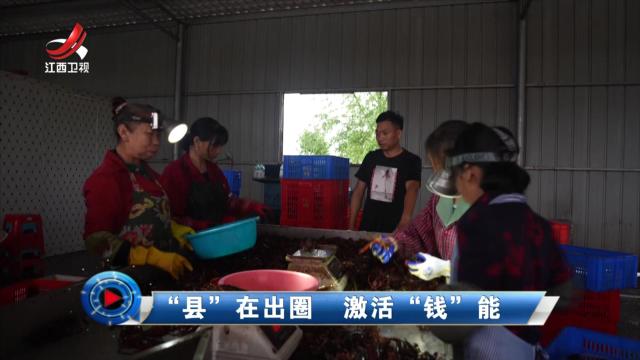 社会传真20240807 “县”在出圈 激活“钱”能