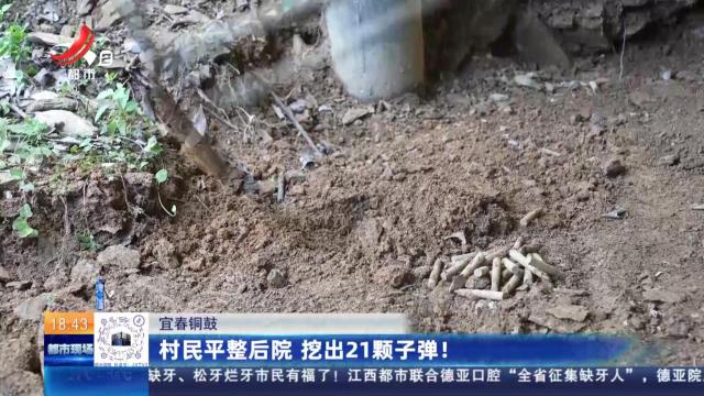 宜春铜鼓：村民平整后院 挖出21颗子弹！