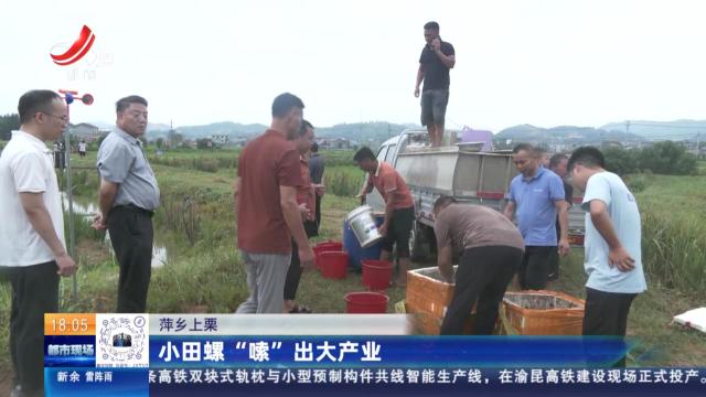 萍乡上栗：小田螺“嗦”出大产业