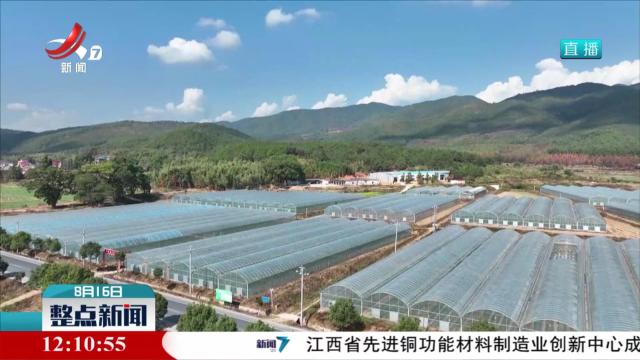 我省64个农产品入选2024年第二批全国名特优新农产品名录