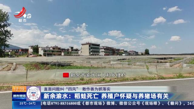 【直面问题纠“四风” 敢作善为抓落实】新余渝水：稻蛙死亡 养殖户怀疑与养猪场有关